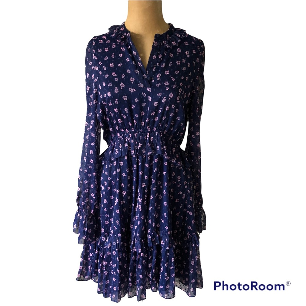 & Other Stories Floral long Sleeve Ruffled Dress Blue pink NWOT